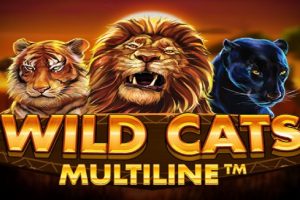 Wild Cats
