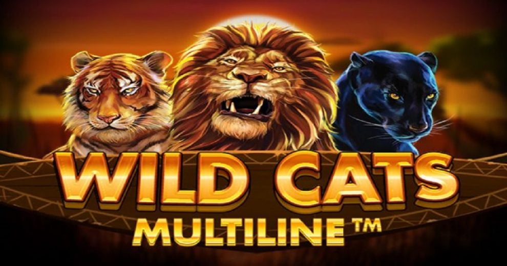 Wild Cats